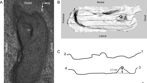 Descubren en Chile la que podría ser la huella humana más antigua de América