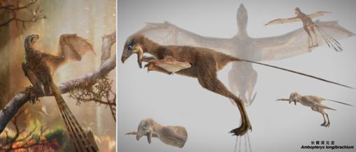 Reconstrucción de la vida y el perfil 3D del extraño Ambopteryx longibrachium de alas membranosas