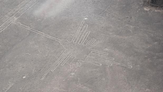 Las misteriosas aves de las líneas de Nasca no son lo que se creía