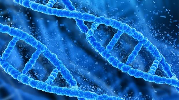 ¿Quieres un fantástico microscopio?