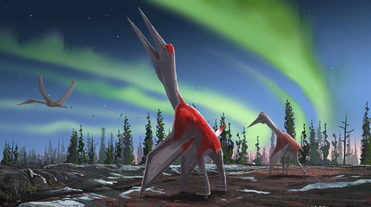 Descubren una especie de pterosaurio que vivió hace 75 millones de años