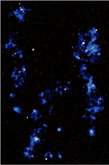 La imagen muestra un mapa de los filamentos de gas (en azul)