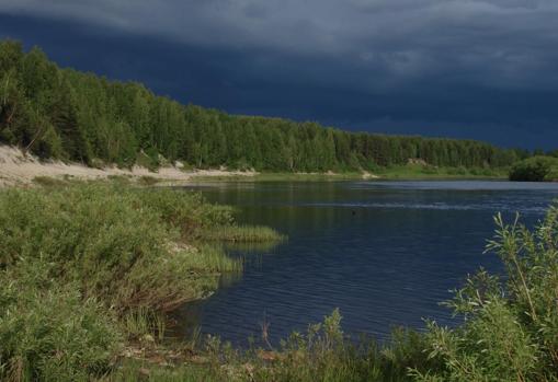 Orilla del río Izhma, donde se han hallado muchos de los fósiles de «Parmastega aelidae»