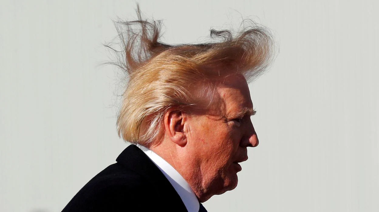 Donald Trump y su famosa cabellera