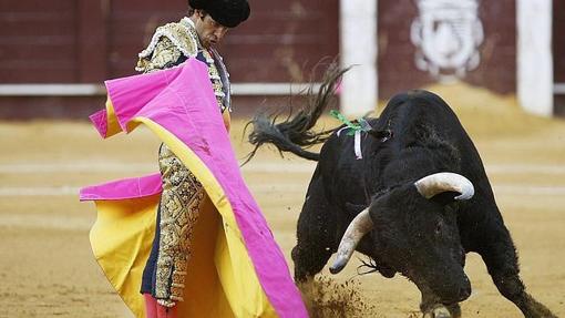 José Tomás en la plaza de toros de la Malagueta