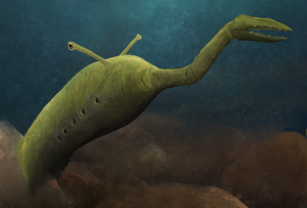 El enigmático monstruo de Tully sigue sin decir qué es