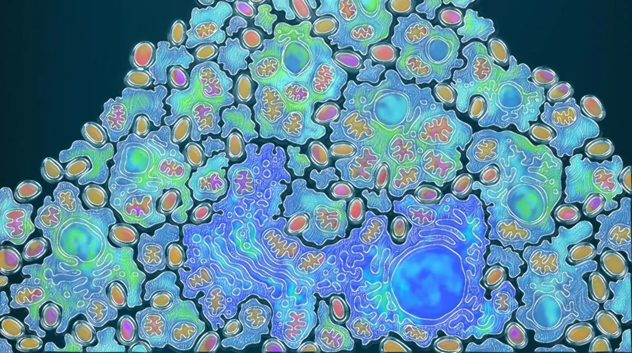 Impresión artística sobre la evolución de las células complejas
