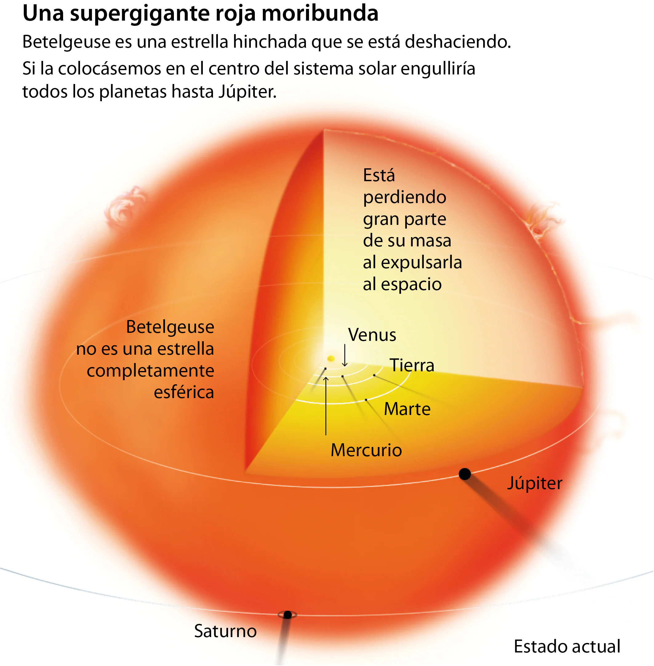Betelgeuse, la estrella que morirá con la supernova más brillante de la historia