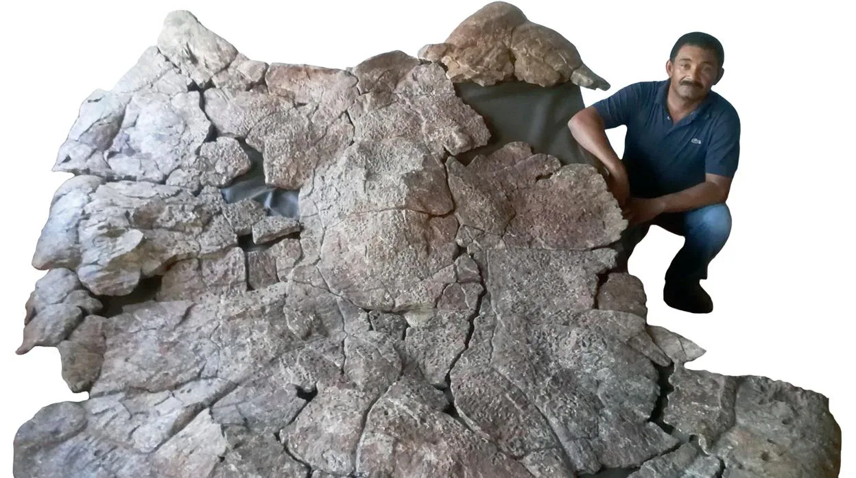 Un paleontólogo posa junto al caparazón de un macho de Stupendemys encontrado en depósitos de 8 millones de años de Urumaco, Venezuela