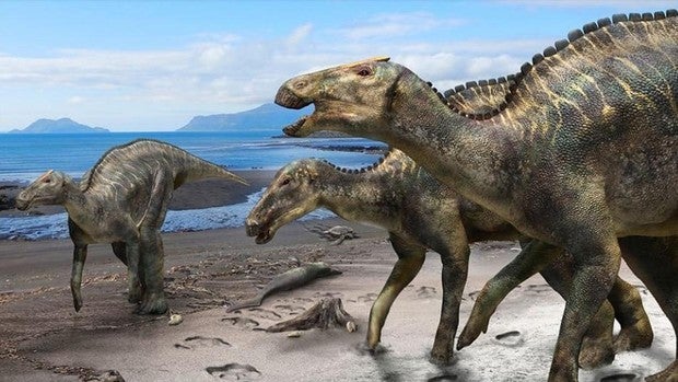 Hallan en la cola de un dinosaurio un tumor que hoy afecta a los niños