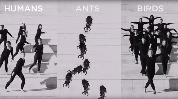 La forma más extraordinaria de explicar una tesis doctoral