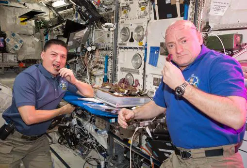 Los astronautas Scott Kelly y Kjell Lindgren prueban la lechuga cultivada a bordo de la ISS en agosto de 2014