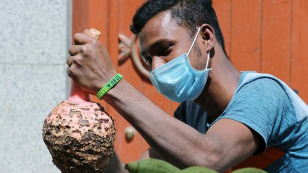 Los increíbles consejos del profeta Mahoma para sobrevivir a una pandemia