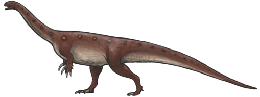 Un ejemplar adulto de Massospondylus