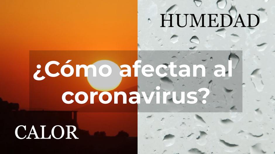 ¿Cómo afectan el calor y la humedad al coronavirus?