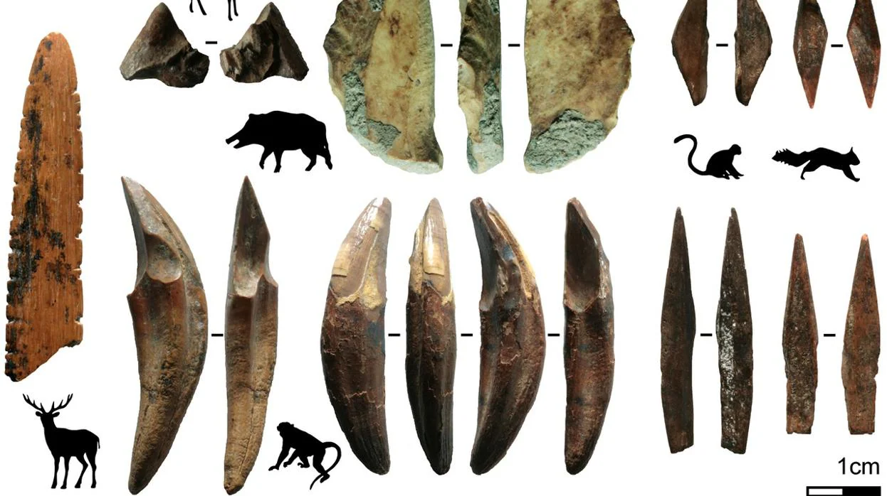 Herramientas de hueso y los animales de los que fueron producidas en Fa-Hien Lena