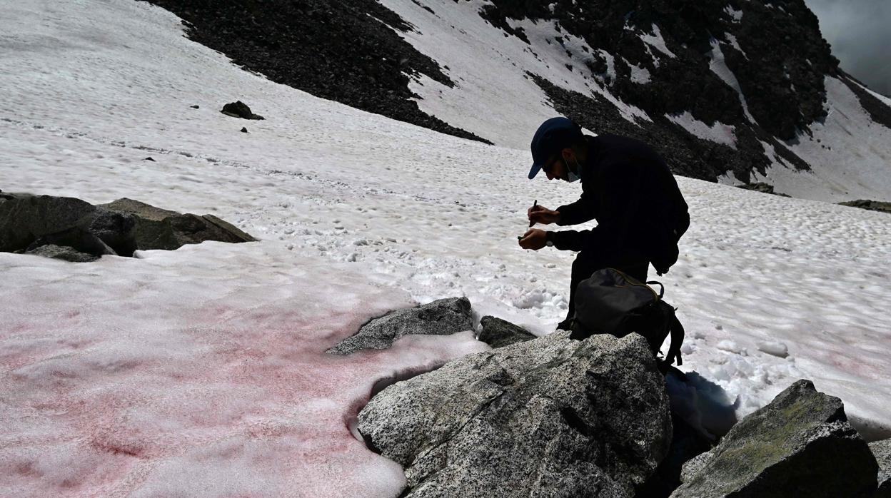 El investigador Biagio di Maio en el glaciar de Presena, en los Alpes italianos