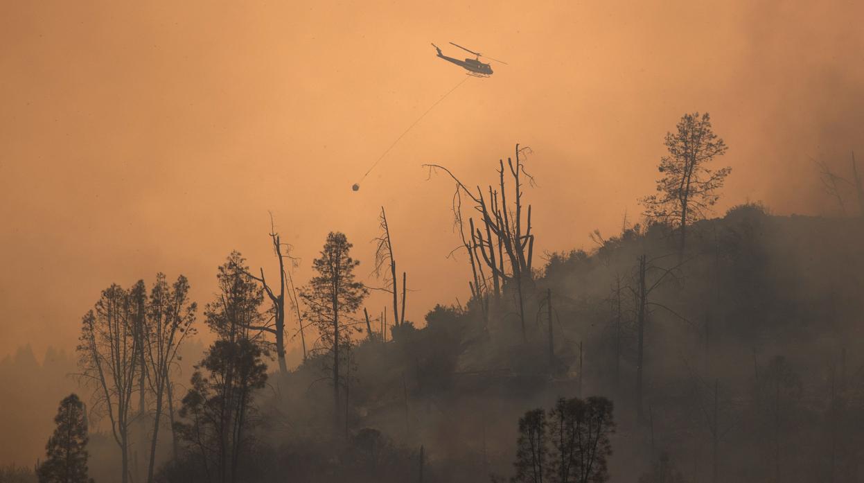 Los tornados de fuego, el peligroso fenómeno provocado por los incendios más potentes