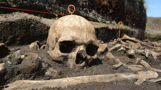 Los guerreros de la batalla más antigua de Europa revelan por qué los adultos beben leche