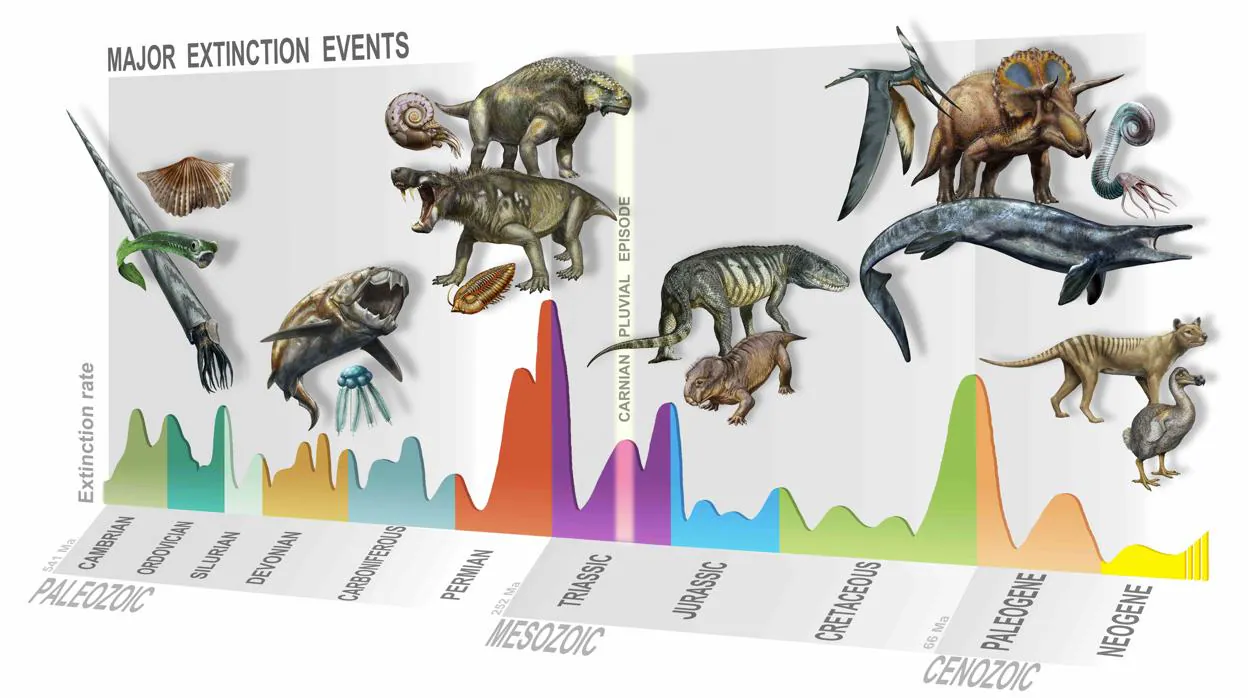 La ilustración muestra las cinco grandes extinciones masivas a las que se ha enfrentado la vida en la Tierra. La línea amarilla, en el centro de la imagen, señala también el Episodio Pluvial Carniano, la nueva extinción masiva que hace 223 millones de años allanó el camino a los dinosaurios