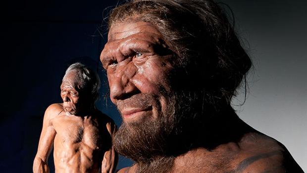 El cromosoma Y revela que neandertales y sapiens ya se aparearon hace 300.000 años