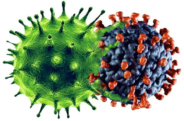 Virus Frankenstein: ¿Puede el coronavirus combinarse con la gripe y formar uno?