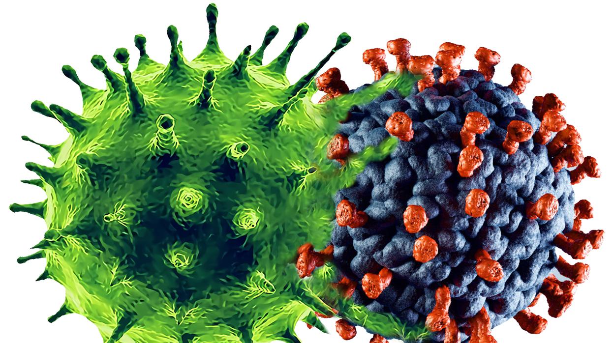 Virus Frankenstein: ¿Puede el coronavirus combinarse con la gripe y formar uno?