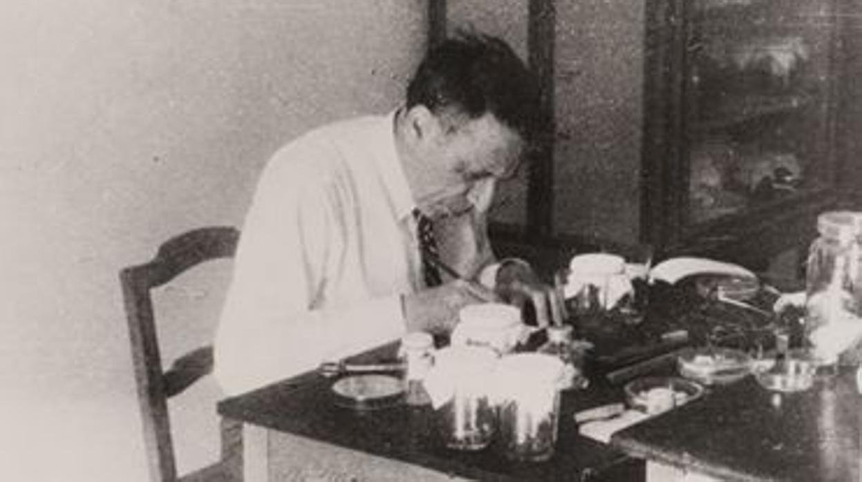 Antonio de Zulueta investigando en su laboratorio (1950)