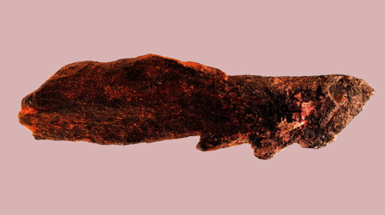 Esta punta de hueso con púas tiene cerca de 800.000 años de edad, mucho antes de la aparición de los humanos modernos