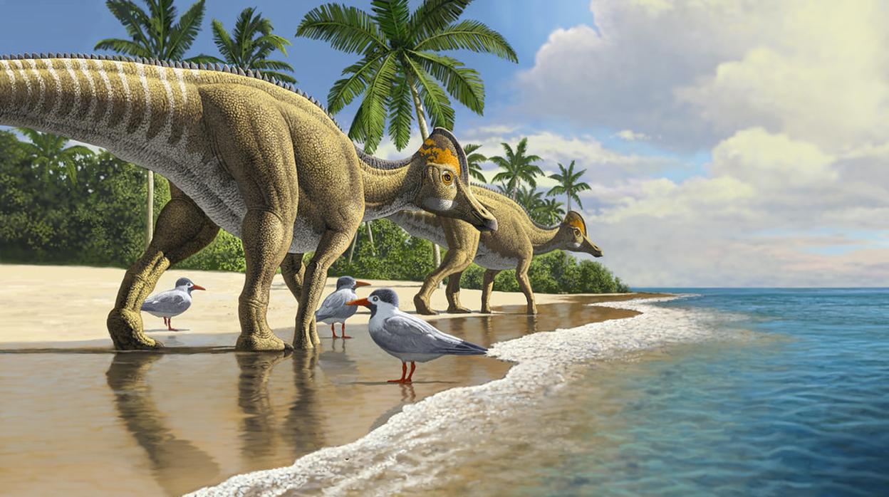 Los dinosaurios pico de pato evolucionaron en América del Norte, extendiéndose a América del Sur, Asia, Europa y finalmente África