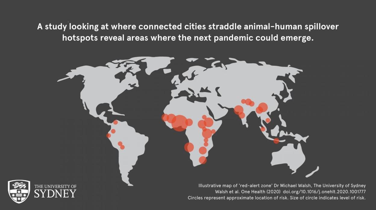 El mapa muestra las principales «zonas rojas» del planeta, donde existe un mayor riesgo de propagación global de nuevas enfermedades