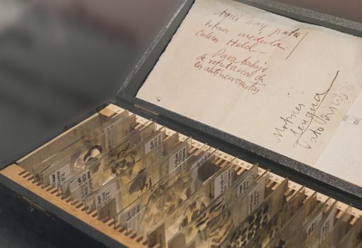 Estuche de preparaciones original que Cajal llevó al Congreso de Berlín. En la tapa se puede ver la inscripción manuscrita del patólogo español