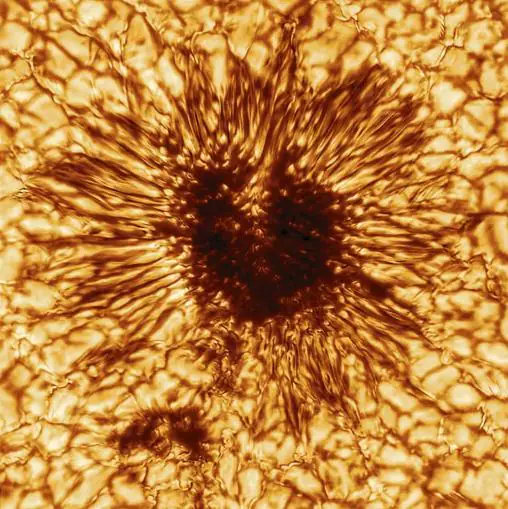 La imagen publicada por la NSF donde se aprecia una gran mancha solar en el centro y otra más pequeña justo debajo