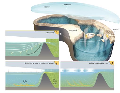 En períodos glaciales en los que el nivel del mar bajó en todo el mundo, en el océano Ártico el intercambio con el Pacífico se detuvo y el intercambio con el Atlántico Norte se redujo extremadamente, mientras que la cuenca del Ártico aún recibía aportes de agua dulce. El intercambio solo podía ocurrir a través de aperturas estrechas en Groenlandia-Escocia-Ridge. La secuencia de tres bocetos muestra (1) un período de refresco del océano Ártico seguido de (2) la liberación de agua dulce al Atlántico Norte, cuando el agua salina entró en el océano Ártico y (3) el derretimiento repentino de la capa de hielo del Ártico sobre contacto con el agua atlántica relativamente cálida y salada.