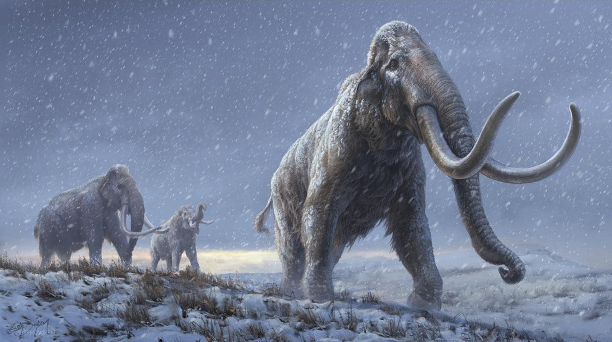 Recreación de los mamuts esteparios que precedieron al mamut lanudo, basada en el conocimiento genético de 'Adycha'
