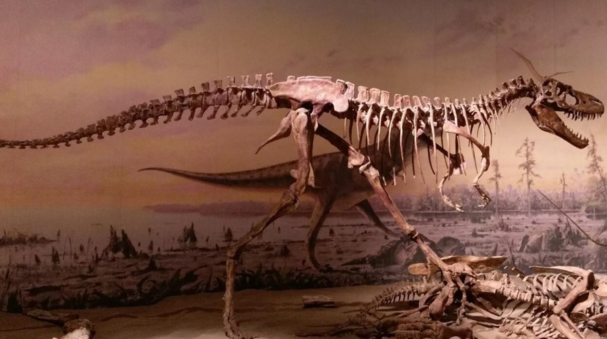 La descendencia de enormes dinosaurios carnívoros, como el Tiranosaurio rex, pudo haber eliminado a especies más pequeñas al competir por la misma comida