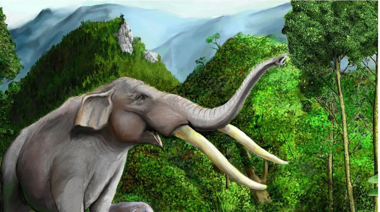 El gonfoterio (Stegomastodon platensis) fue parte de la megafauna que se extinguió en Chile a fines del Pleistoceno. Posiblemente dispersaba las semillas de queule