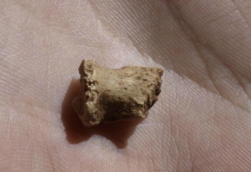 Falange neandertal