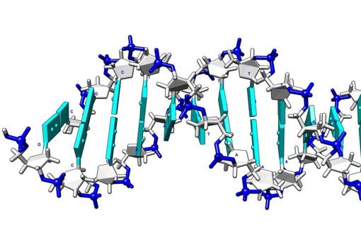 Una secuencia de ADN B. Los fosfatos (azul) encadenan y soportan la información, en forma de una secuencia de bases (cajas cian)