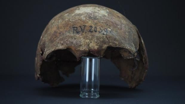 Un cazador de hace 5.000 años, el primer caso de peste conocido