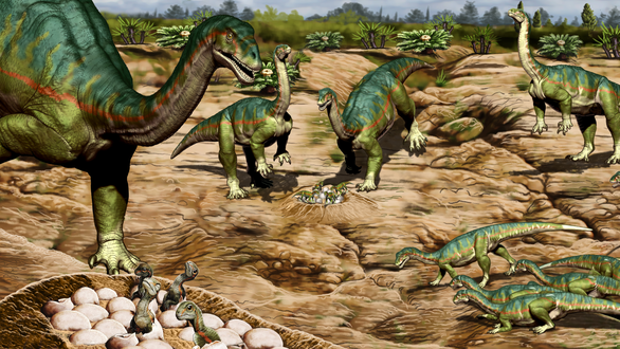 Los primeros dinosaurios ya vivían en manadas para sobrevivir