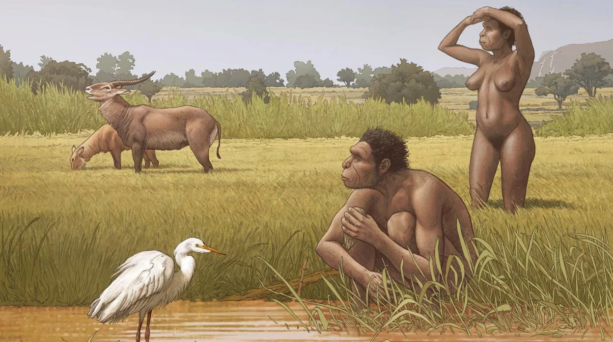 Homo bodoensis, una nueva especie antecesora del hombre, vivió en África durante el Pleistoceno Medio