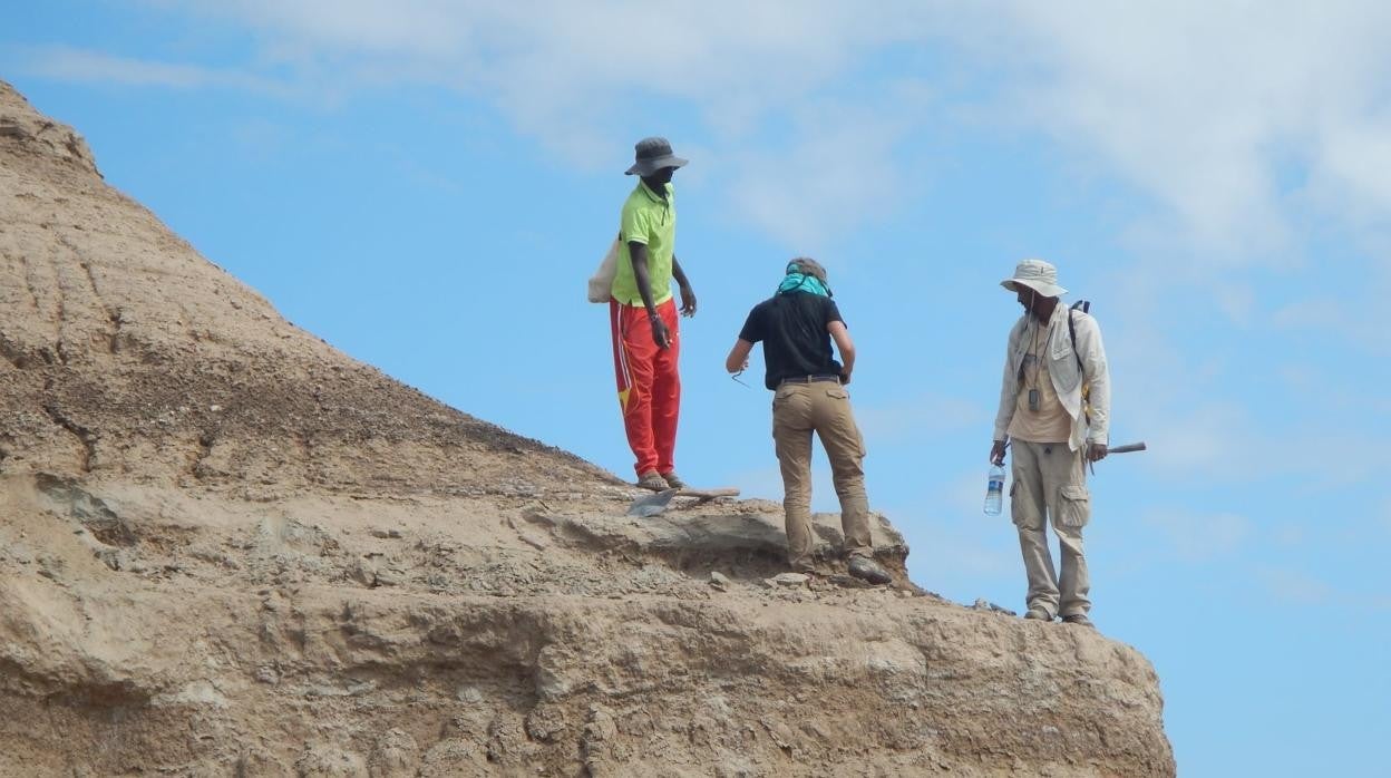 El equipo toma muestras de depósitos de ceniza que limitan la edad del fósil de Homo sapiens más antiguo en la formación Omo Kibish