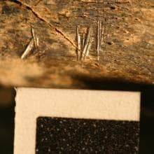 Huesos fósiles de 1,5 millones de años con marcas de corte de Koobi Fora, Kenia