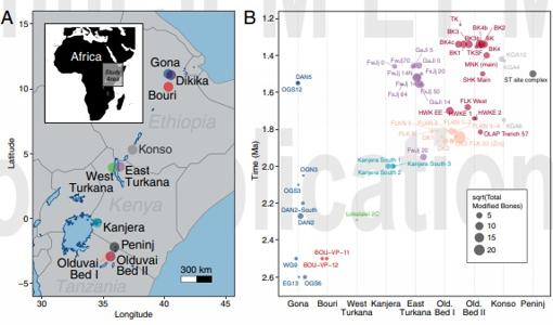 (A) Mapa regional que muestra la distribución espacial de las principales áreas de investigación. (B) Distribución temporal de los niveles zooarqueológicos trazados según su fecha en el eje vertical. Las etiquetas están codificadas por colores según el área principal de estudio. El tamaño de cada círculo se dibuja proporcional a la raíz cuadrada del número de huesos modificados informados del conjunto zooarqueológico correspondiente. La posición de cada nivel en el eje horizontal cambia aleatoriamente para mejorar la legibilidad.