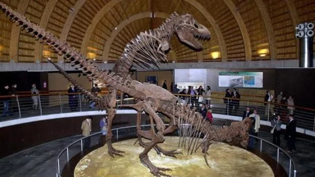 El temible T. rex pudo ser, en realidad, tres especies