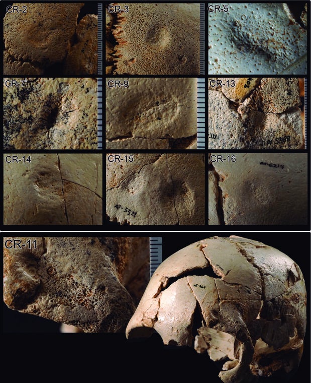 Cráneos golpeados y aplastados: la violenta vida de los hombres de Atapuerca