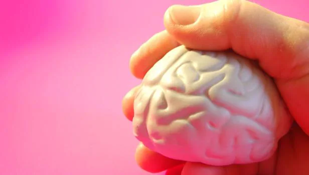 Verdadero o falso: ¿Son ciertos estos mitos sobre el cerebro?