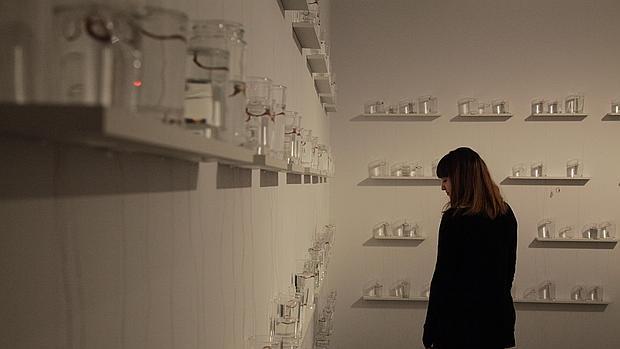 «Materia prima», del dogma a la poética