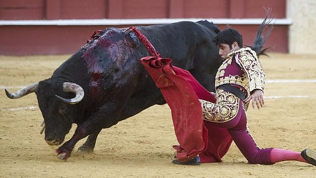 Salvador Vega, el pasado verano en la Malagueta